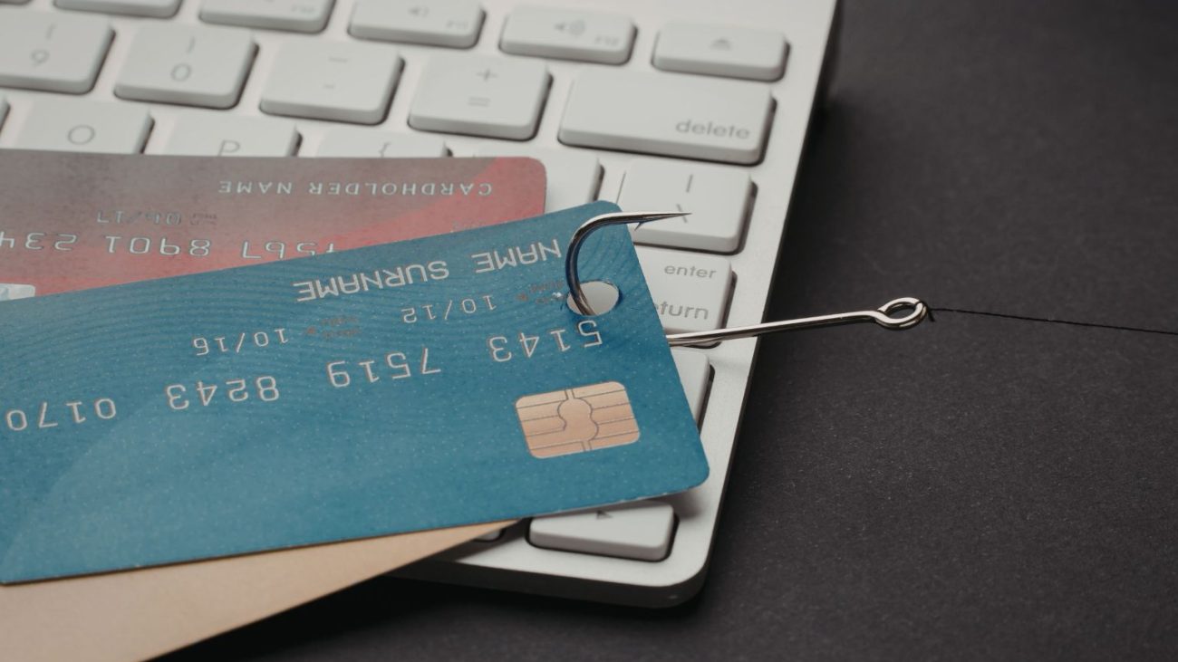 Online Fraud Investigations