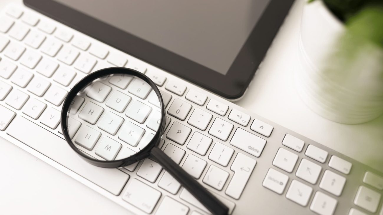 background check services